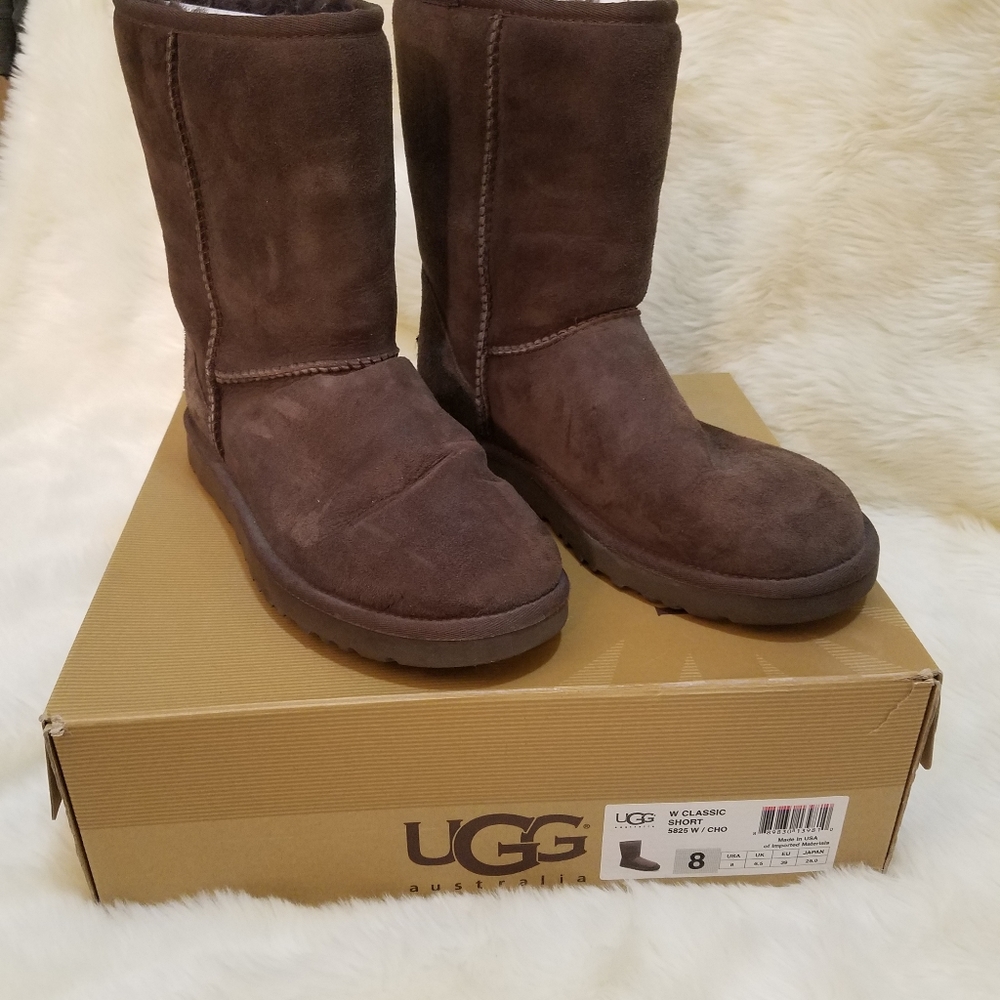 Short chocolate ugg - Picture 5 of 8